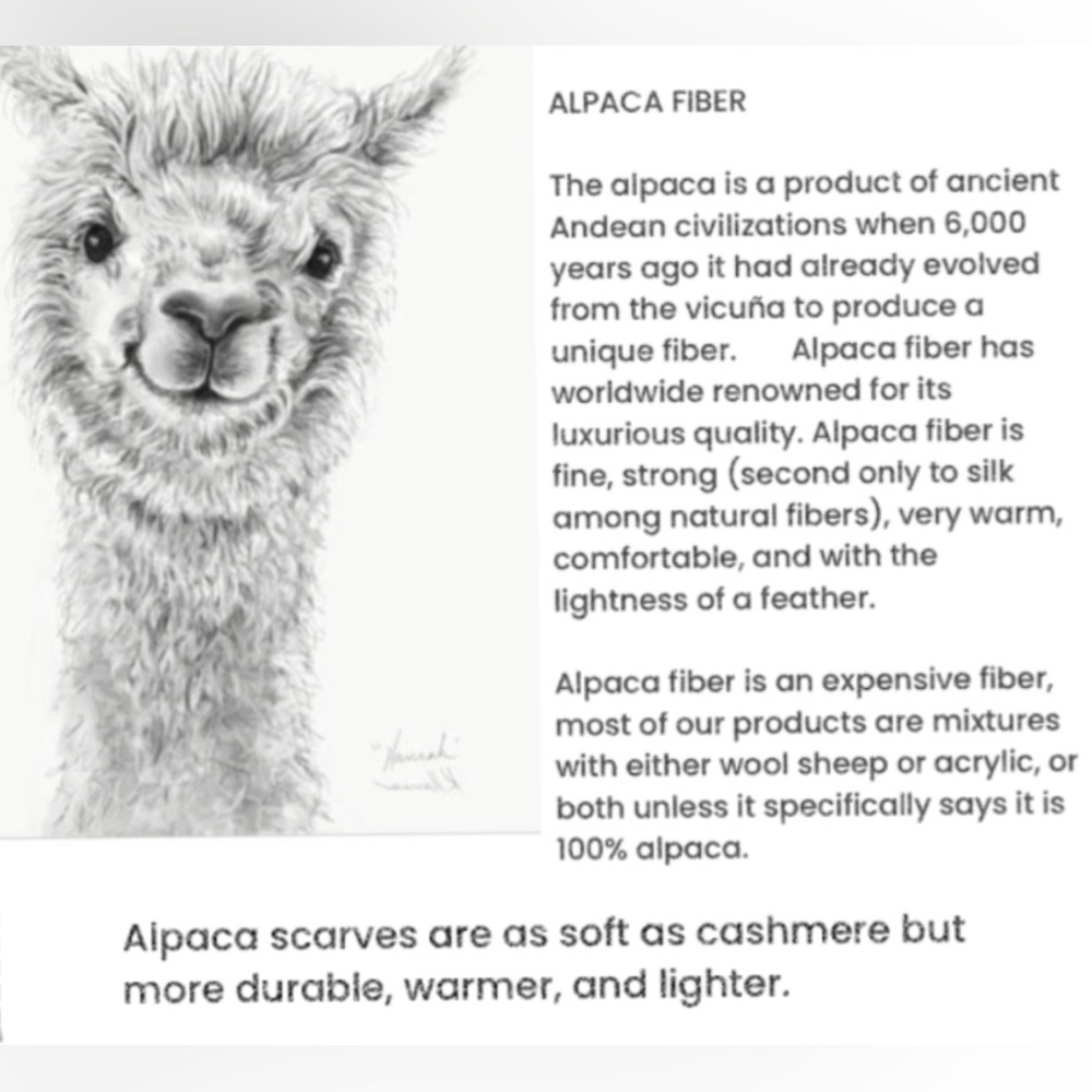 Beautiful alpaca scarf from Ecuador - Picture 6 of 11